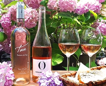 Vin+Petillant (Wein+Perlwein)