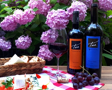 Vin+Petillant (Wein+Perlwein)